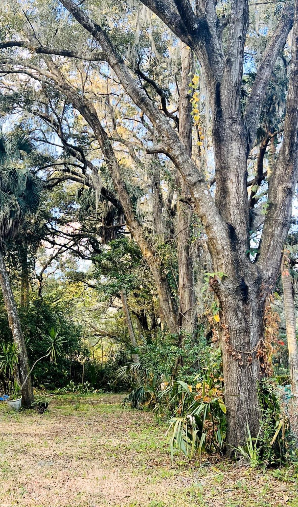 Country Welcome Micanopy Εξωτερικό φωτογραφία