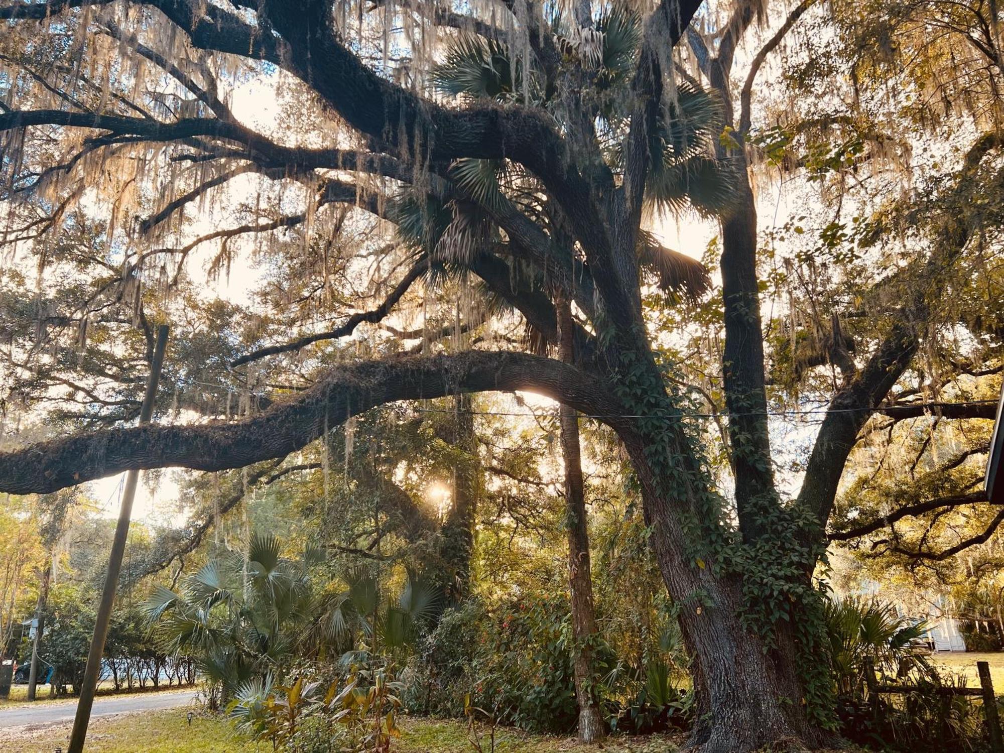Country Welcome Micanopy Εξωτερικό φωτογραφία